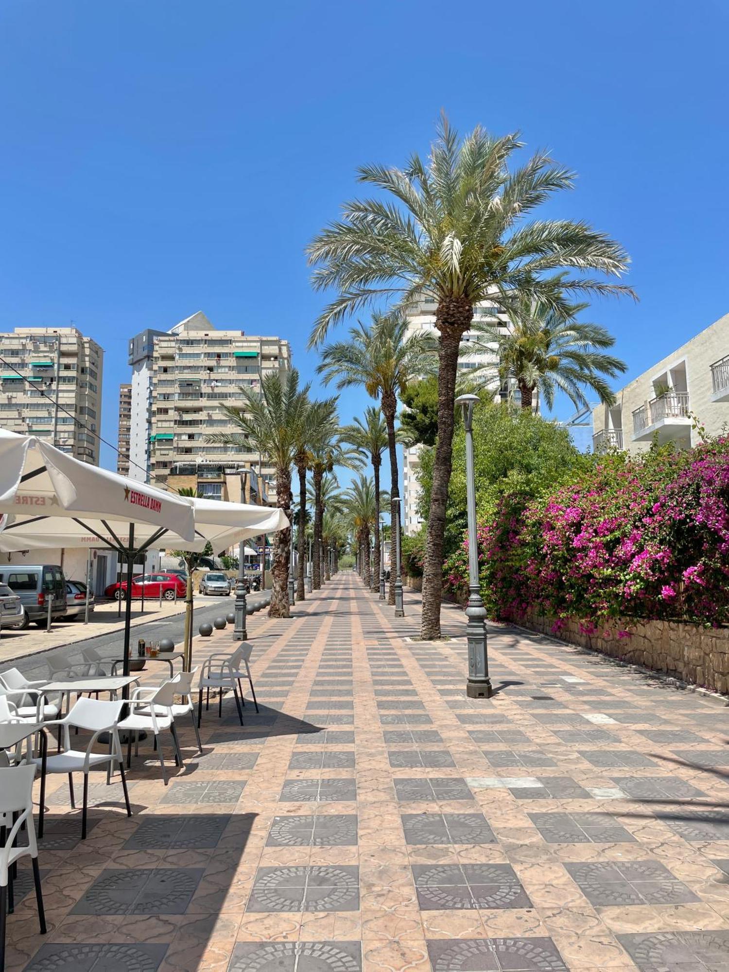 New Square Ibiza Daire Benidorm Dış mekan fotoğraf